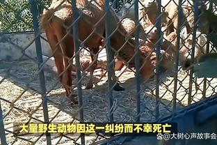 拜仁总监：惨败法兰克福我们犯了很多个人错误 正在和穆勒谈续约